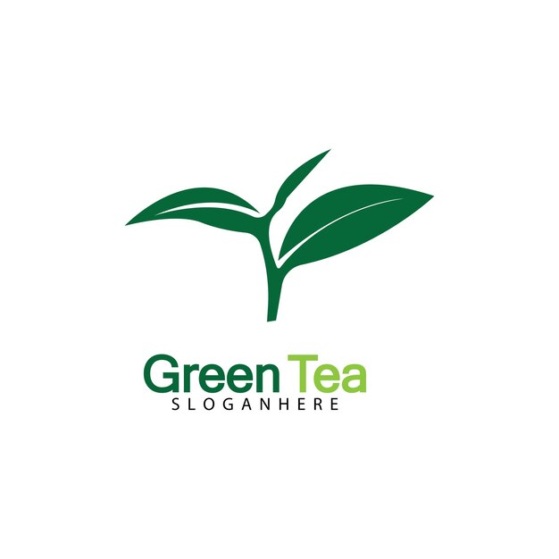 Diseño de ilustración de icono de vector de logotipo de hoja de té verde aislado sobre fondo blanco-imagen vectorial