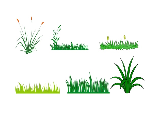 Diseño de ilustración de icono de vector de plantilla de logotipo de hierba