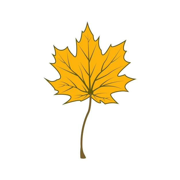 Diseño de ilustración de icono de vector de plantilla de logotipo de hoja de arce