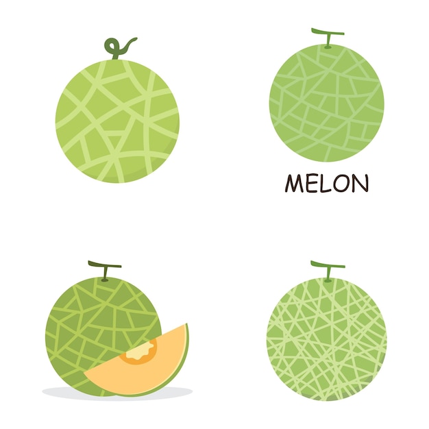 Diseño de la ilustración del logotipo de la fruta de melón fresco