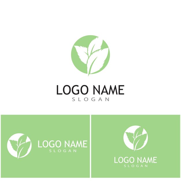 Diseño de ilustración de plantilla de icono de color de vector plano de hojas de menta