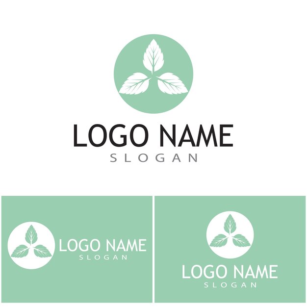 Diseño de ilustración de plantilla de icono de color de vector plano de hojas de menta