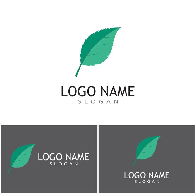 Diseño de ilustración de plantilla de icono de color de vector plano de hojas de menta