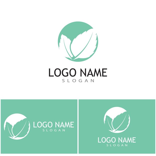 Diseño de ilustración de plantilla de icono de color de vector plano de hojas de menta