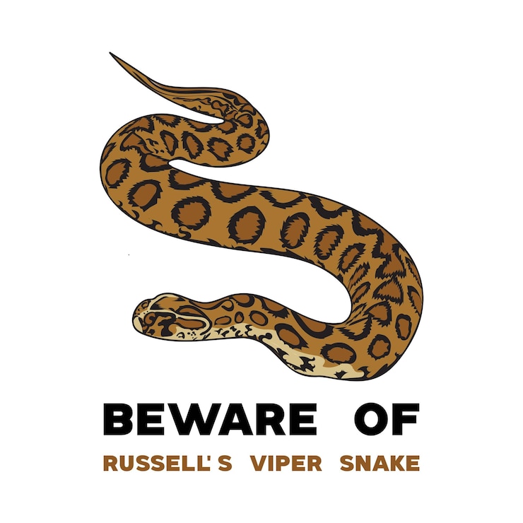 Vector diseño de la ilustración de la serpiente viper de russells
