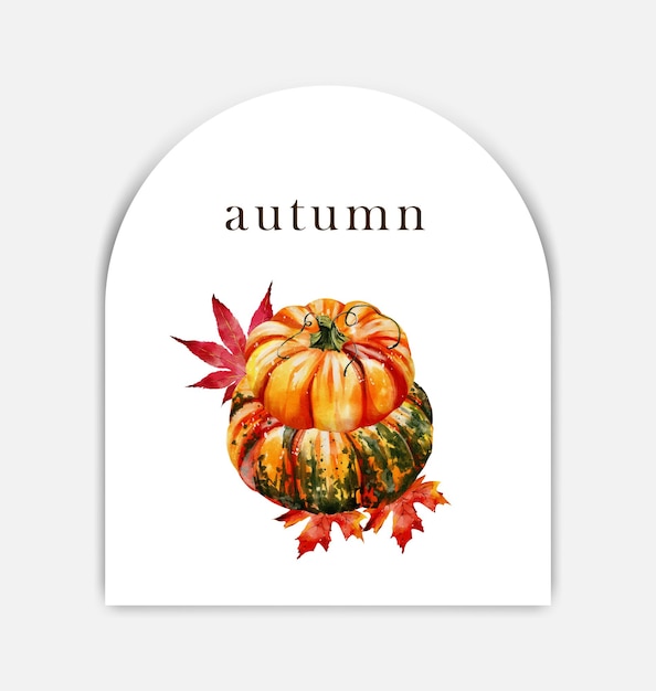 Diseño de ilustración de vector de acuarela de calabazas