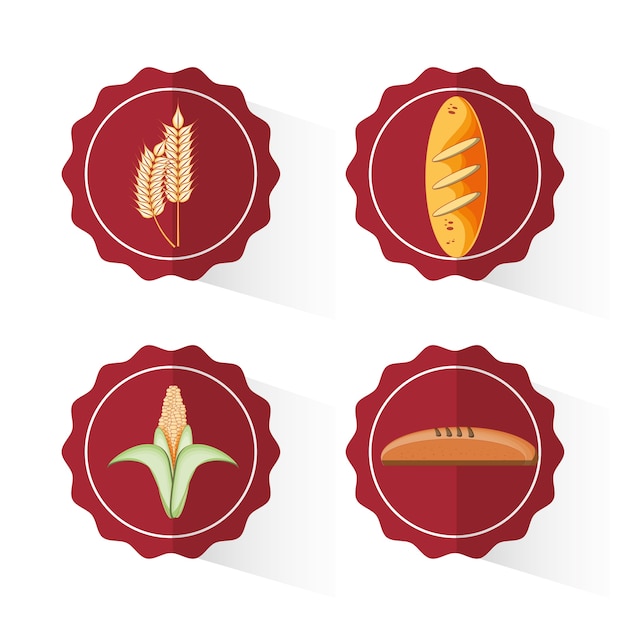 diseño de ilustración de vector de alimentos de productos integrales