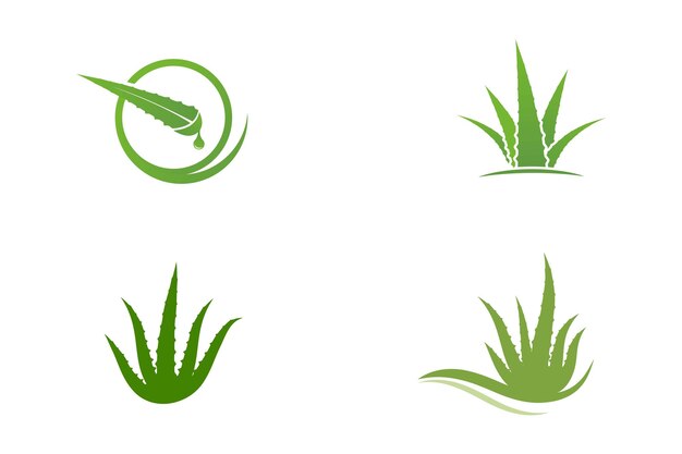 Diseño de ilustración de vector de aloe vera