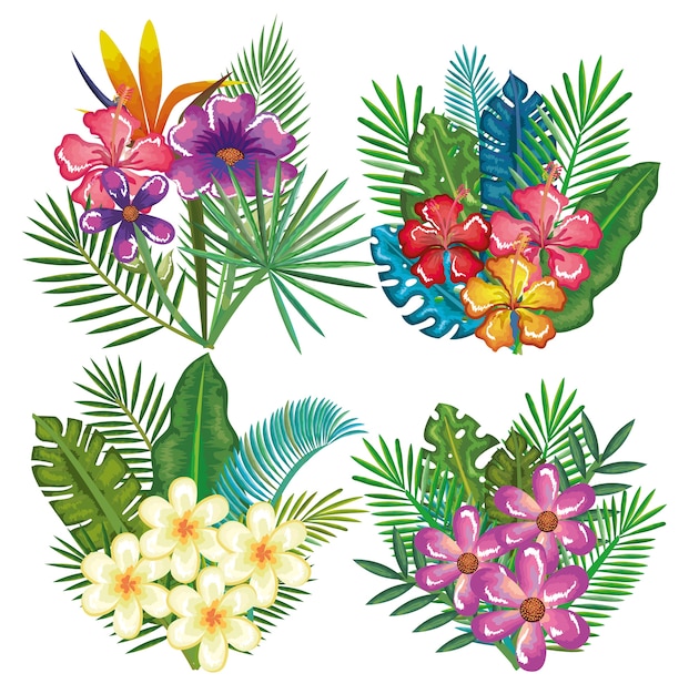 diseño de ilustración de vector de decoración floral tropical y exótico