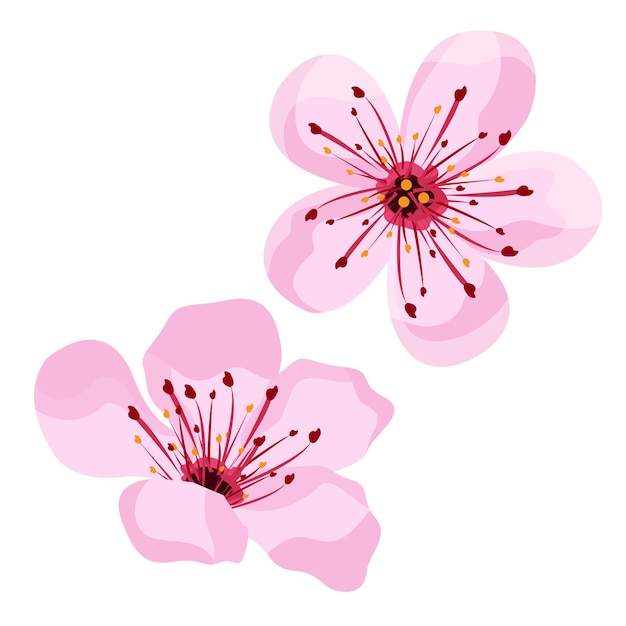 diseño de ilustración de vector de flor de cerezo para hola primavera