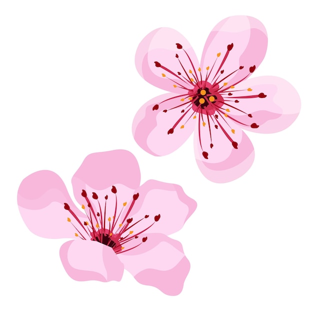 Diseño de ilustración de vector de flor de cerezo para hola primavera