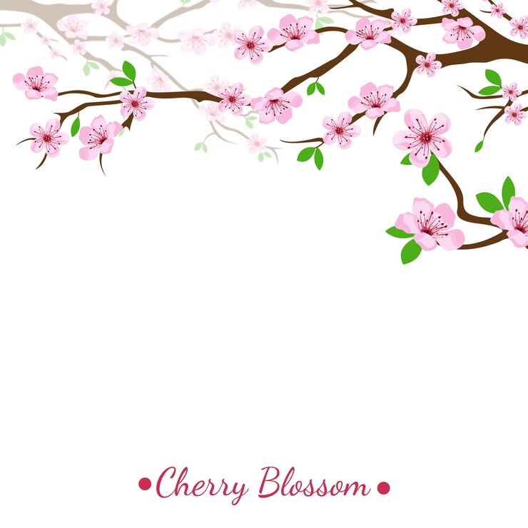 diseño de ilustración de vector de flor de cerezo para hola primavera