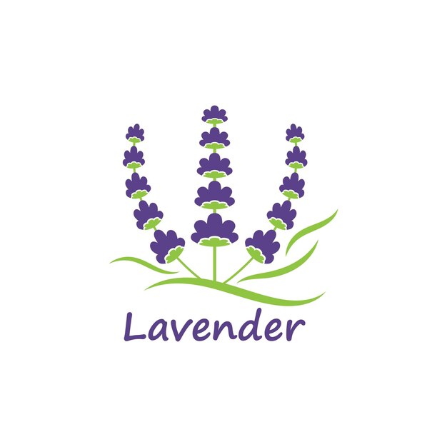 Diseño de ilustración de vector de flor de lavanda