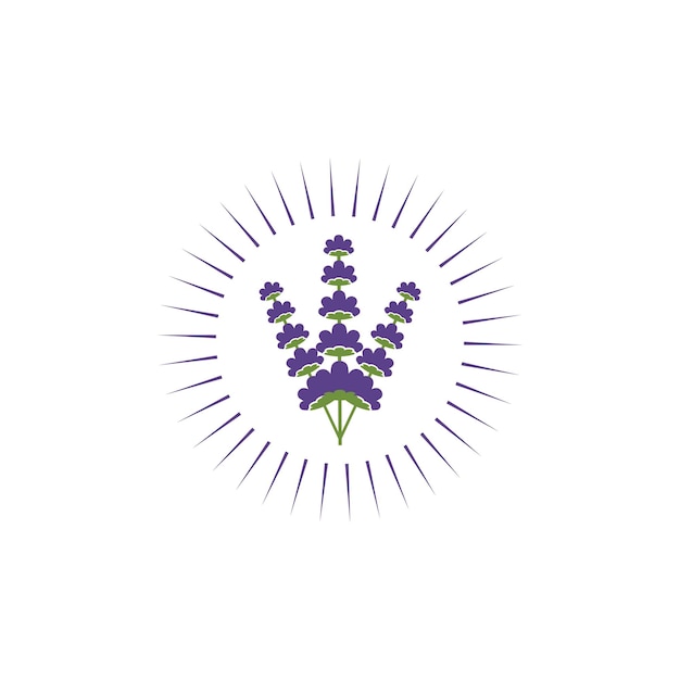 Diseño de ilustración de vector de flor de lavanda