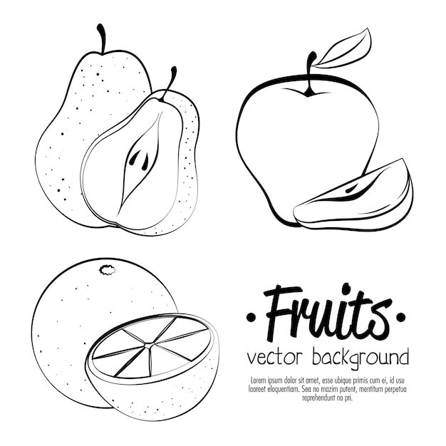 Diseño de ilustración de vector de frutas frescas y saludables