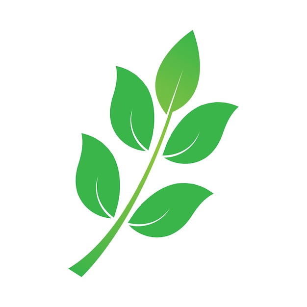 Diseño de ilustración de vector de icono de hoja