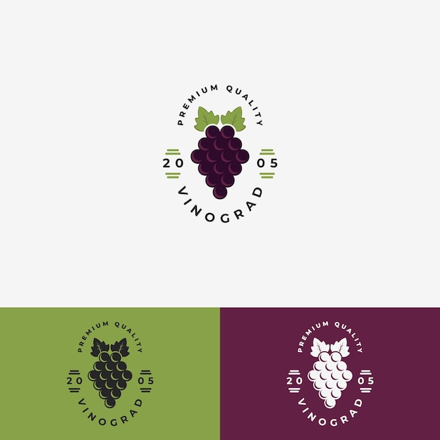 Diseño de ilustración de vector de logotipo de fruta de uva plantilla de logotipo de uva