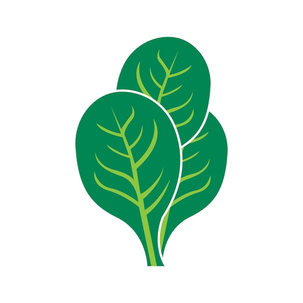 Diseño de ilustración de vector de logotipo vegetal de espinaca fresca