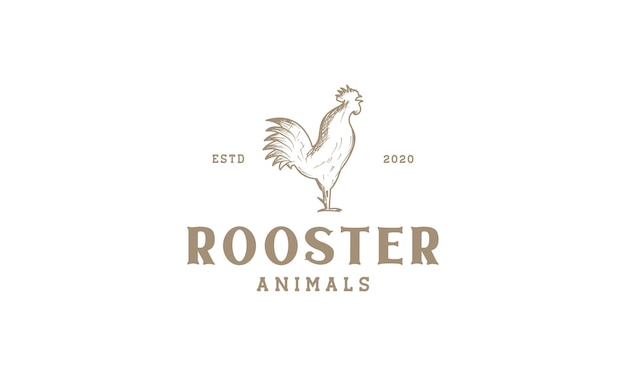 Diseño de ilustración de vector de logotipo vintage grabado de gallo o gallo