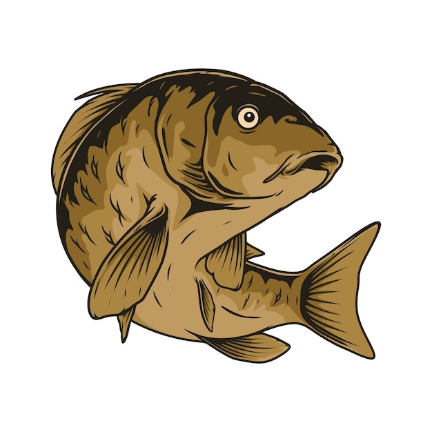 Diseño de ilustración de vector de pez carpa