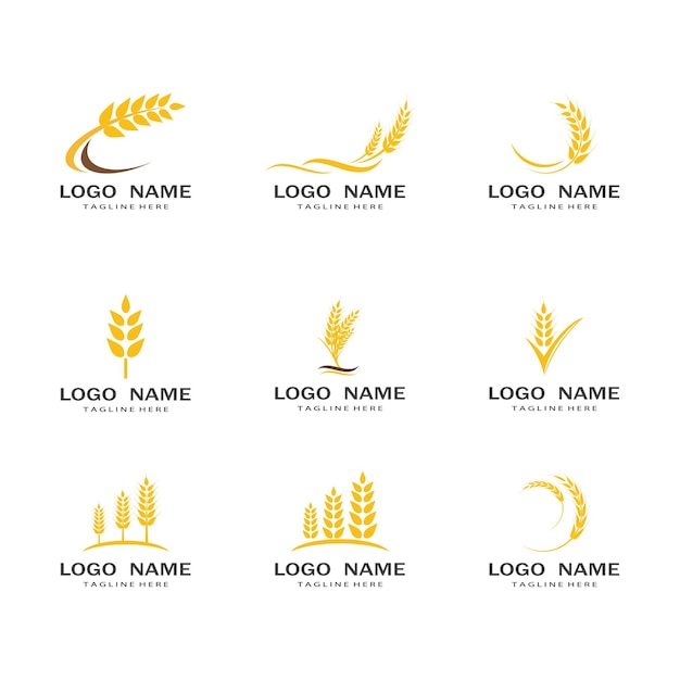 Vector diseño de ilustración de vector de plantilla de logotipo de trigo