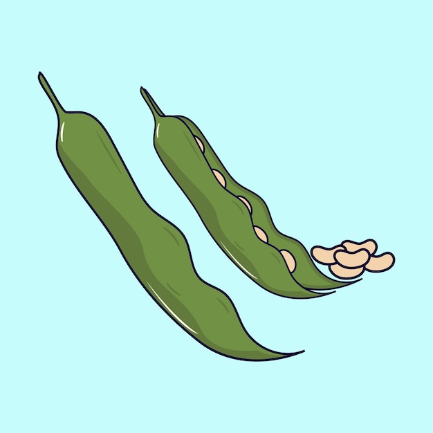 diseño de ilustración vectorial de frijoles verdes plantas de alimentos saludables diseño de vector aislado de pod premium