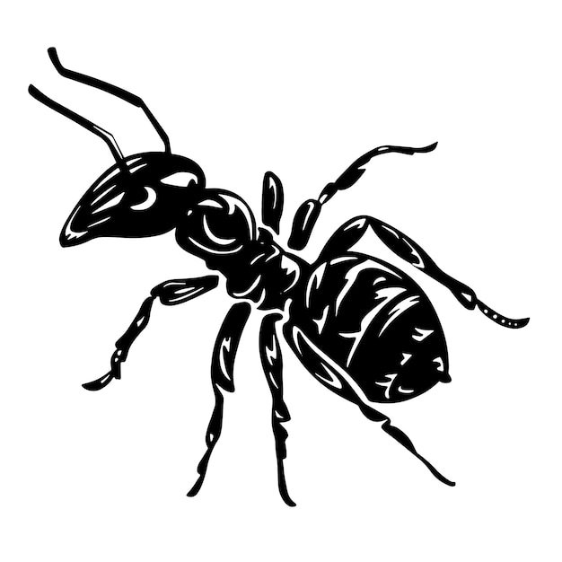 Diseño de ilustración vectorial de hormiga negra EPS