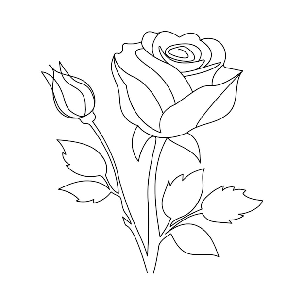 diseño de ilustración vectorial de una línea continua de rosas, flores y tulipanes