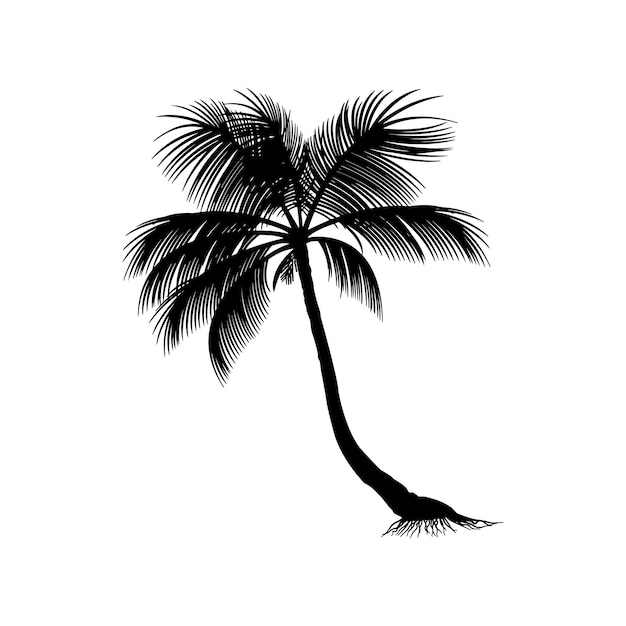 Un diseño de ilustración vectorial de una palmera