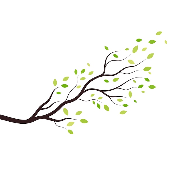 Diseño de ilustración vectorial de la rama del árbol