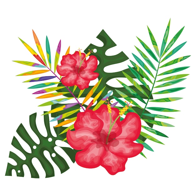 diseño de ilustración vectorial tarjeta de flores decorativas tropicales
