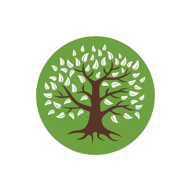 Diseño de ilustraciones para la plantilla del logotipo de Leaves Oak Tree
