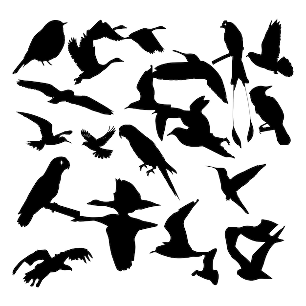 Diseño de ilustraciones vectoriales de bandadas negras de aves