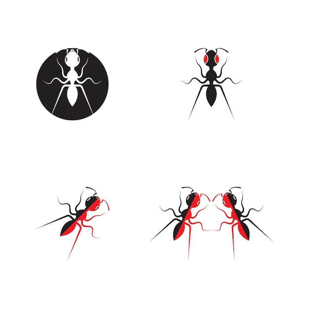 Diseño de ilustraciones vectoriales de hormigas