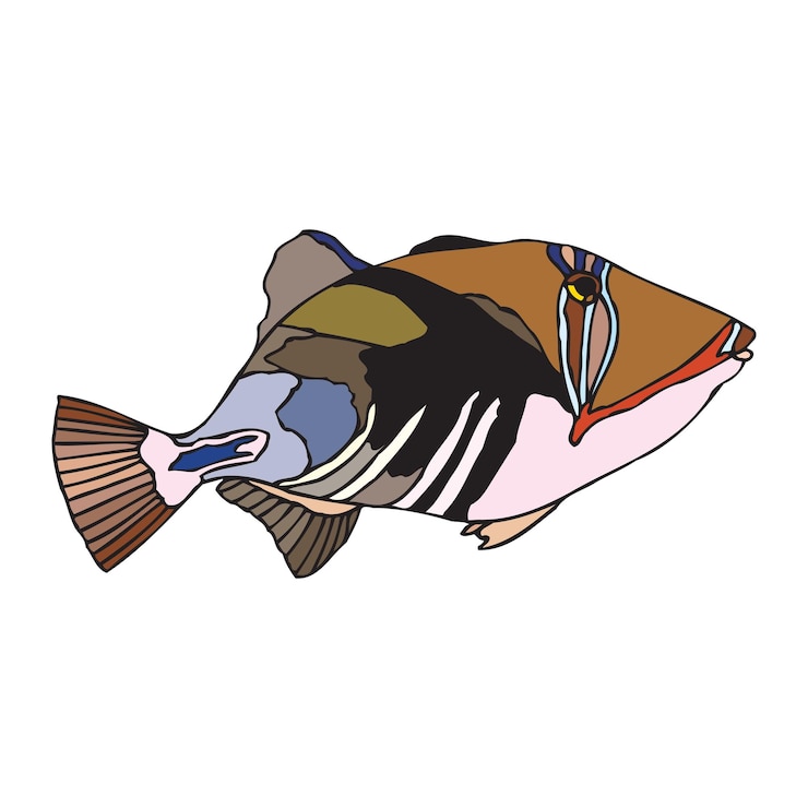 Vector diseño de ilustraciones vectoriales de peces coloridos de estilo vintage creativo 18