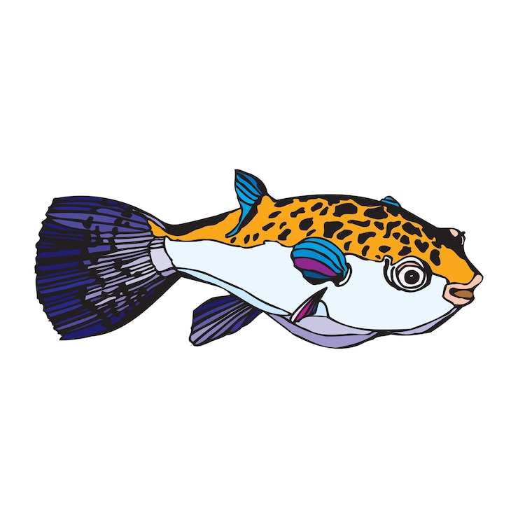 Vector diseño de ilustraciones vectoriales de peces coloridos de estilo vintage creativo 54