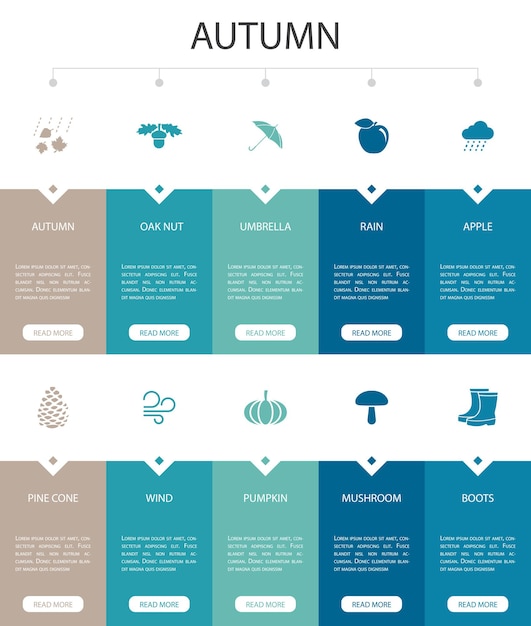 Diseño de interfaz de usuario de opciones de infografía de otoño 10.Tuerca de roble, lluvia, viento, iconos simples de calabaza