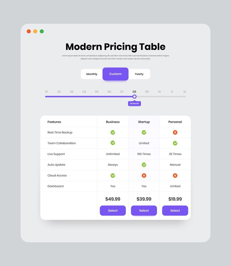 Vector diseño de interfaz web de suscripción y plan de modelo de negocio profesional con filtro personalizado