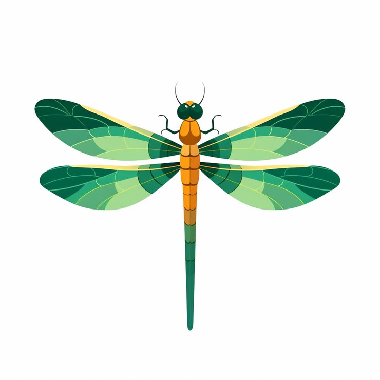 Vector diseño de libélula vector de insectos naturaleza animal ilustración de verano ala vida silvestre natural fl