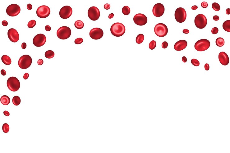 Vector diseño de lienzo de glóbulos rojos con espacio de copia