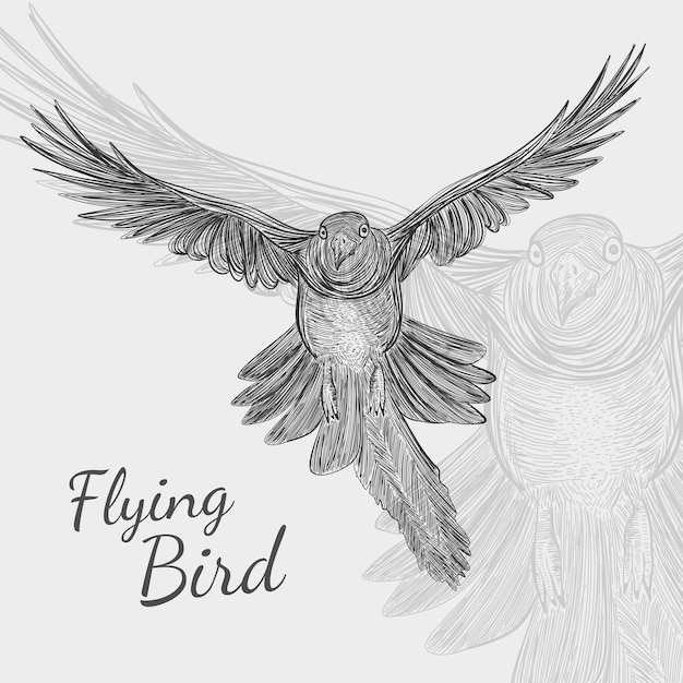 Diseño de línea abstracta de vector de forma de pájaro volador