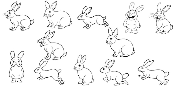 diseño de línea animal diseño vectorial