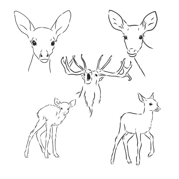 Diseño de una línea silueta de ciervo estilo minimalista dibujado a mano ilustración vectorial ciervo