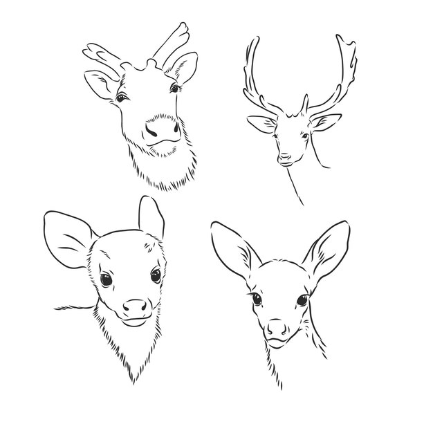 Diseño de una línea silueta de ciervo estilo minimalista dibujado a mano ilustración vectorial ciervo