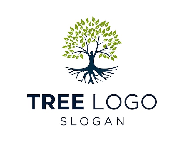 Diseño de logo de árbol