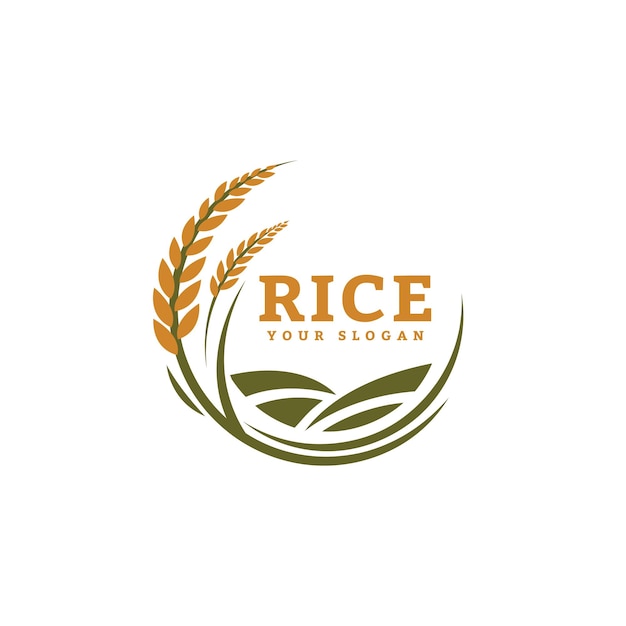 Diseño de logotipo de agricultura de grano de arroz o trigo para su empresa y nombres de productos o para todas sus ideas