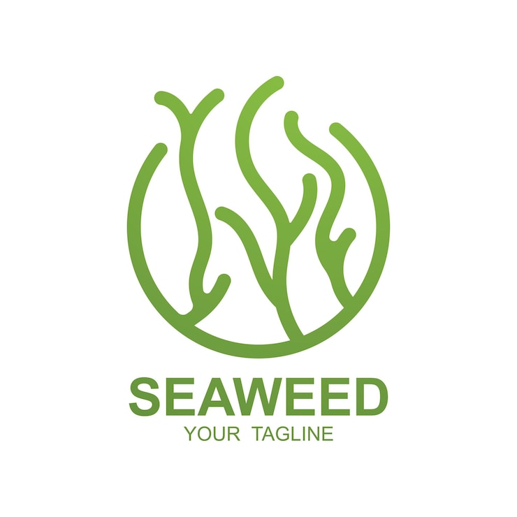 Vector diseño de logotipo de algas marinas ilustración de plantas submarinas cosméticos e ingredientes alimentarios