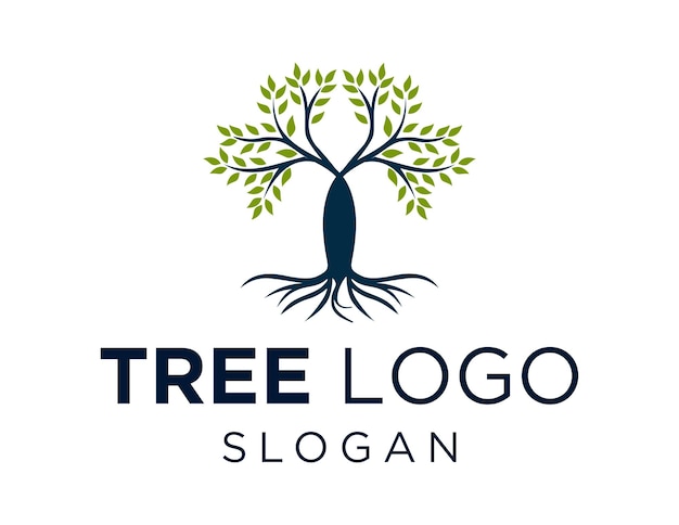 Diseño de logotipo de árbol