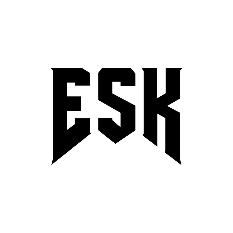 Vector diseño del logotipo de la empresa de tecnología esk: combinación de colores blanco y negro esk: diseño del logotipo esk: véctor esk: icono esk: alfabeto esk: tipografía