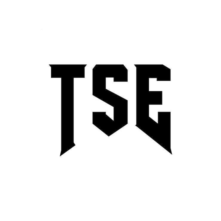 Vector diseño de logotipo de la empresa de tecnología tse: combinación de colores blanco y negro tse: diseño de logotipo tse: icono tse: alfabeto tse: tipografía